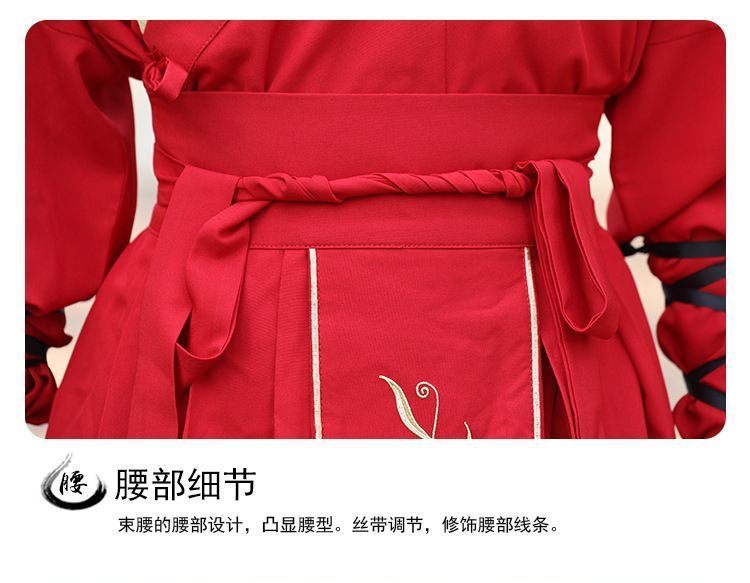 Set: Embroidered Hanfu Top + Skirt