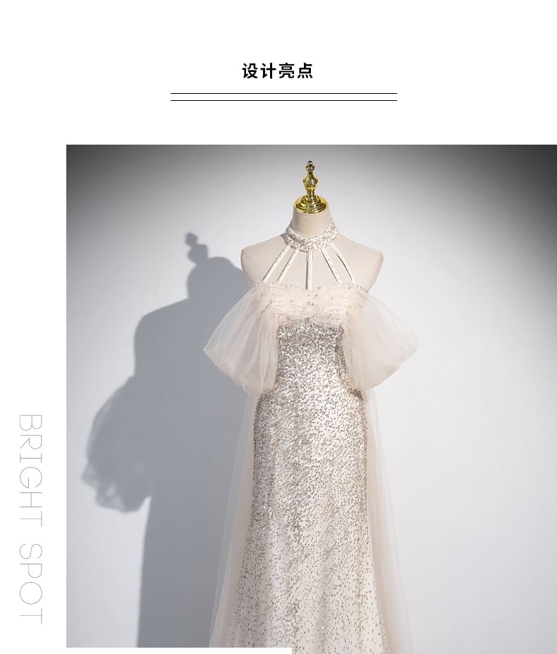 Sleeveless Mesh A-Line Evening Gown