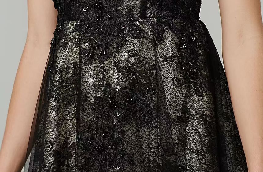 Sleeveless Round Neck Lace Panel Mesh A-Line Evening Dress