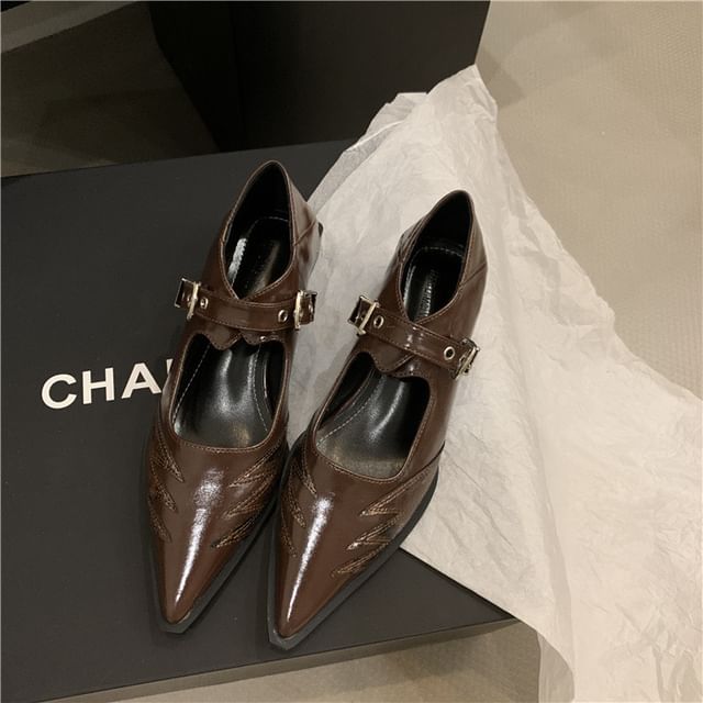Pointy Paneled Mary Jane Shoes