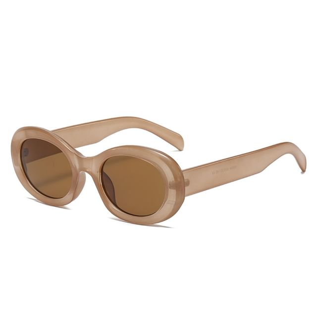 Oval Resin Sunglasses