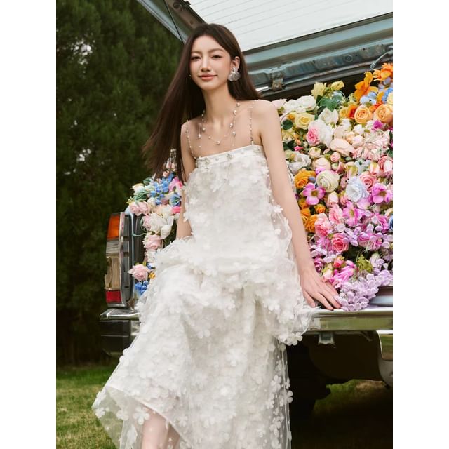 Gown Sheer A-Line Evening Sleeveless