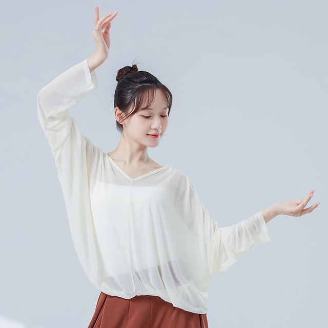 Solid Top with V-Shaped Neck and Long Sleeves
