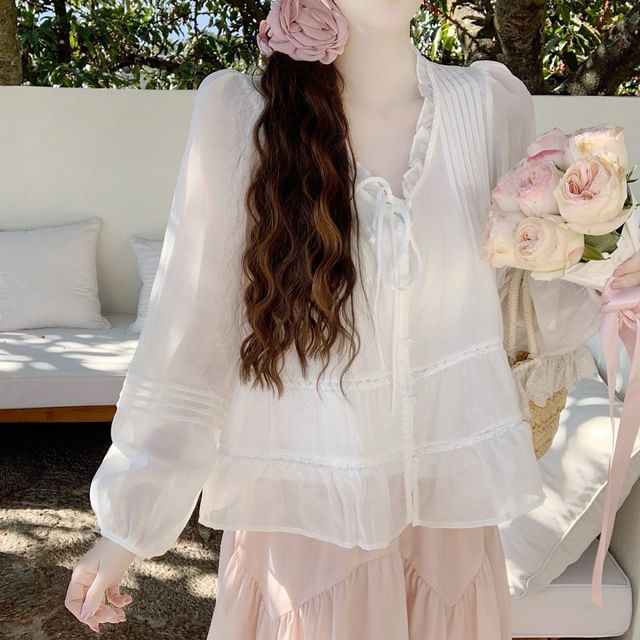 Frill Trim Sheer V-Neck Blouse