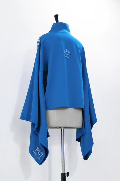 Stand-Collar Gothic Prince Coat with Trumpet Sleeves and Shorts