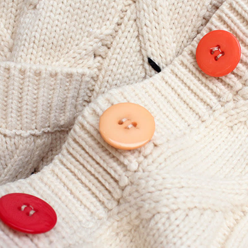 Sweater Set Colorful Embroidery Dress Slip Cardigan