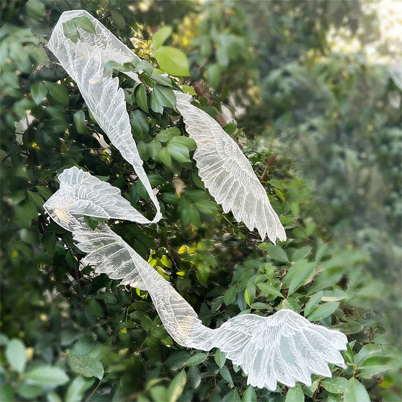 Châle brodé en forme d'aile de papillon esthétique