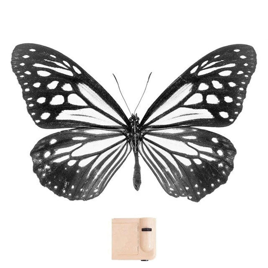 Butterfly Wings Projector