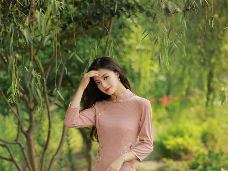 3/4 Sleeve Embroidered Qipao Dress