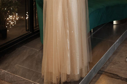 V-Neck Mesh A-Line Evening Gown