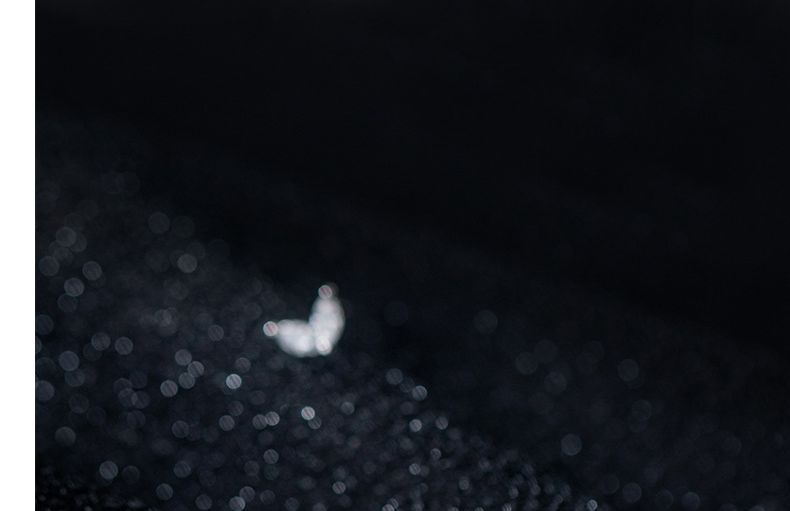 Rhinestone Leaf Stud Earring