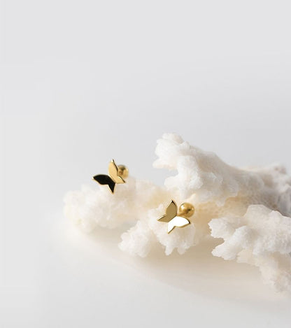 Schmetterling Ohrstecker