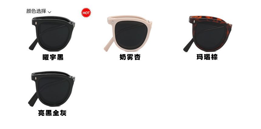 Retro Foldable Sunglasses / Sunglass Case