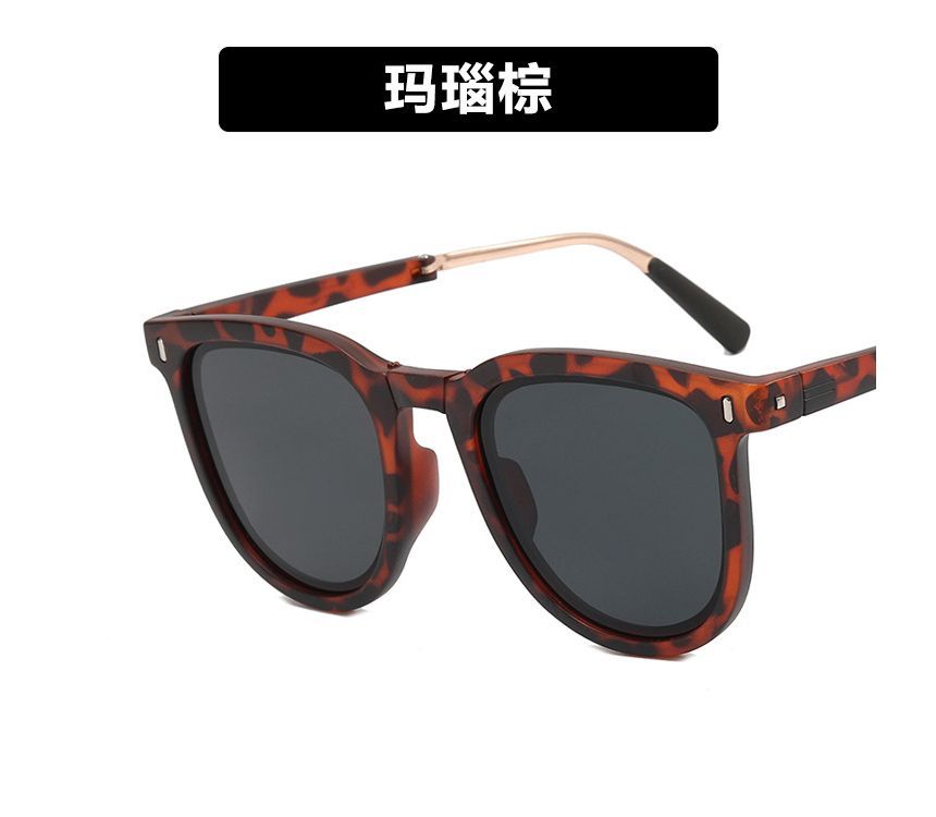 Retro Foldable Sunglasses / Sunglass Case