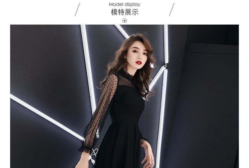 Evening Gown Mesh A-Line Long-Sleeve