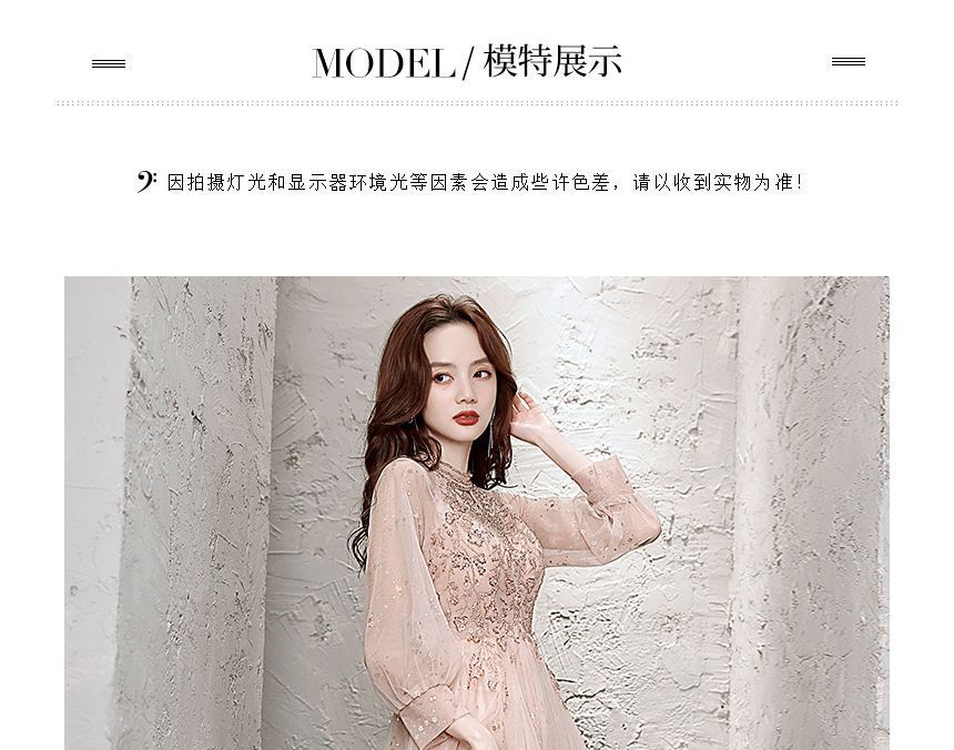 Long-Sleeve Sequin Mesh A-Line Evening Gown