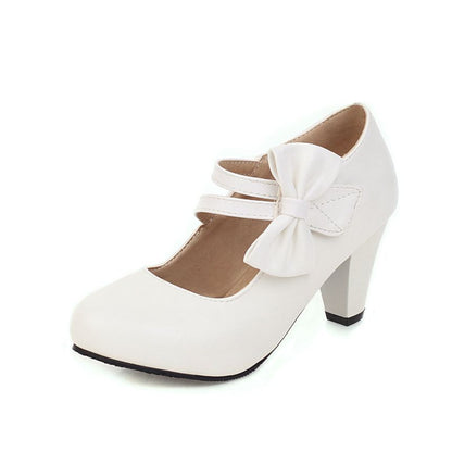 Chunky Heel Bow Mary Jane Shoes