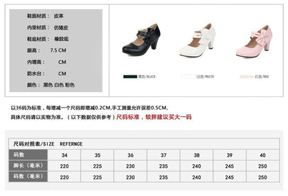 Chunky Heel Bow Mary Jane Shoes