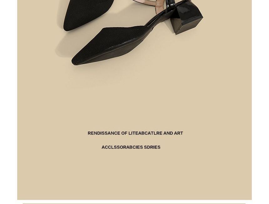 Pointy-Toe Ankle Strap Chunky Heel Sandals