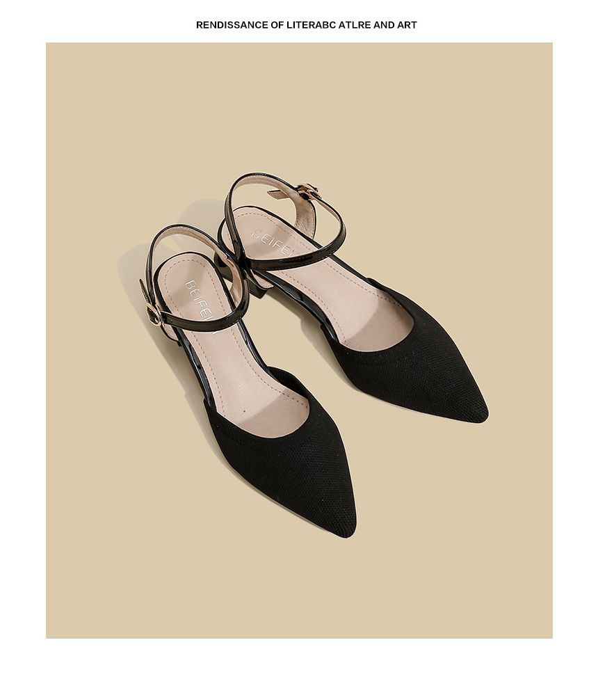 Pointy-Toe Ankle Strap Chunky Heel Sandals