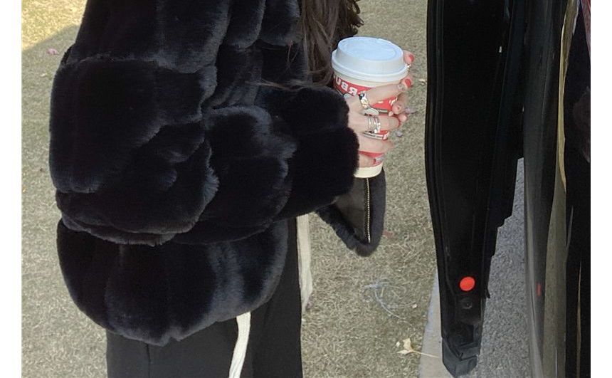 Plain Faux Fur Cropped Jacket