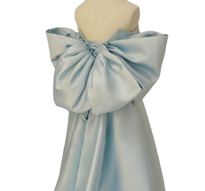 Strapless Plain Bow A-Line Evening Gown