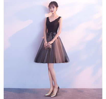 Sleeveless V-Neck Lace Panel Mesh A-Line Evening Gown / Cocktail Dress