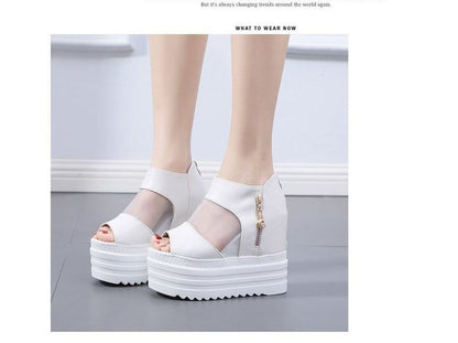 Wedge Platform Sandals Sheer