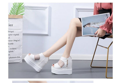 Wedge Platform Sandals Sheer