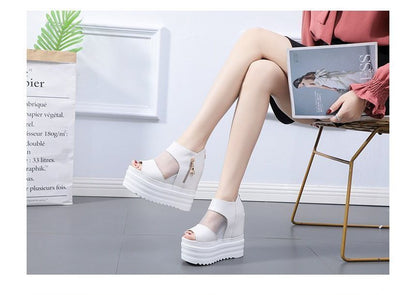 Wedge Platform Sandals Sheer
