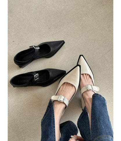 Pointy Toe Chunky Heel Mary Jane Shoes