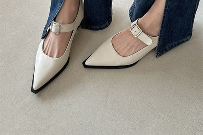 Pointy Toe Chunky Heel Mary Jane Shoes