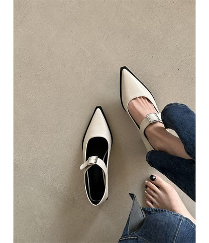 Pointy Toe Chunky Heel Mary Jane Shoes