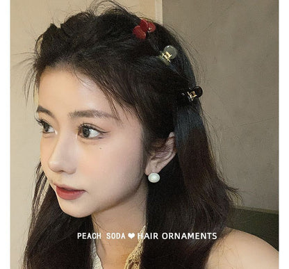 Lot de 2 : Pince à cheveux en acrylique