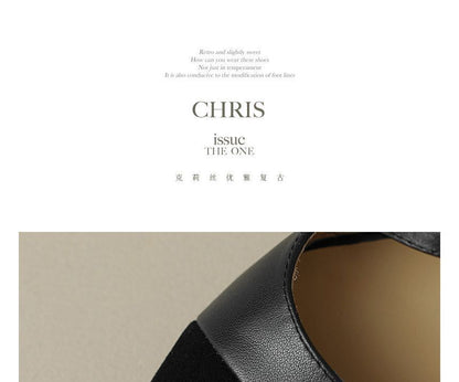 Buckled Strap Pointed Flats