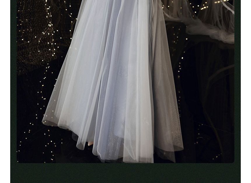 Sleeveless Sequined Mesh Overlay A-Line Evening Gown