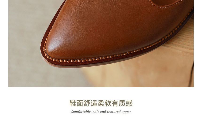 Pointed Chunky Heel Loafers