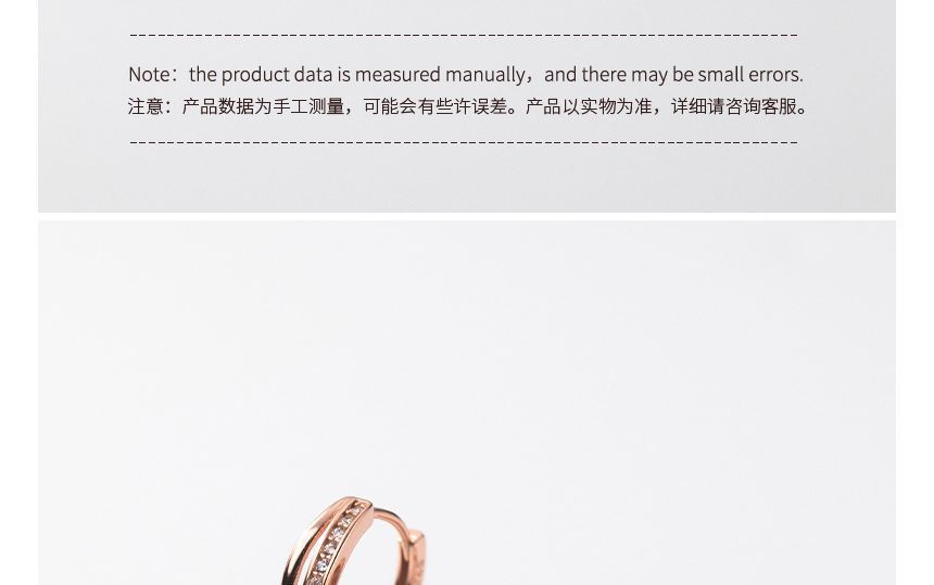 Rhinestone Hoop Earring