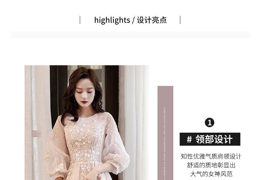 Crew Gown Neck A-Line Evening Long-Sleeve Mesh