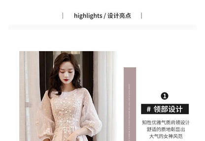 Crew Gown Neck A-Line Evening Long-Sleeve Mesh