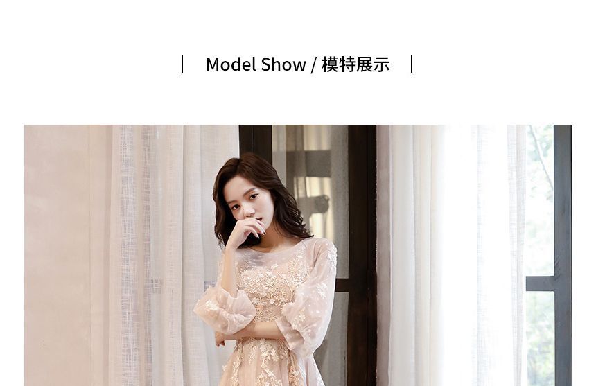 Crew Gown Neck A-Line Evening Long-Sleeve Mesh