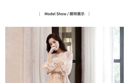 Crew Gown Neck A-Line Evening Long-Sleeve Mesh