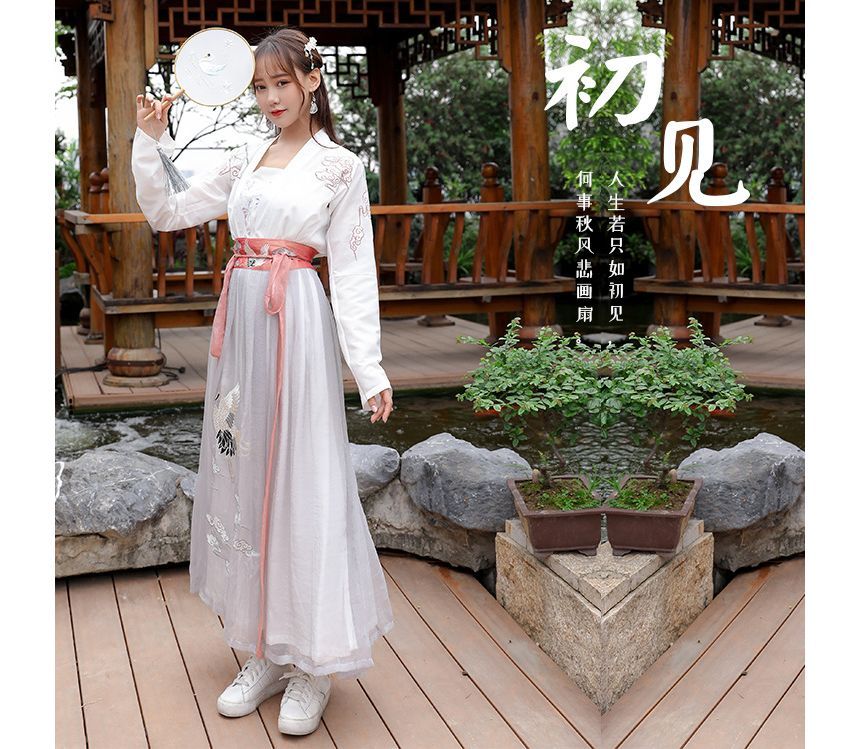 Crane Embroidered Hanfu Costume Set