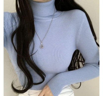 Long-Sleeve Turtleneck Plain Ribbed Knit Top