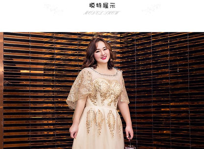 Gown Plus Evening Size Mesh Cap Sequined Sleeve Detail A-Line