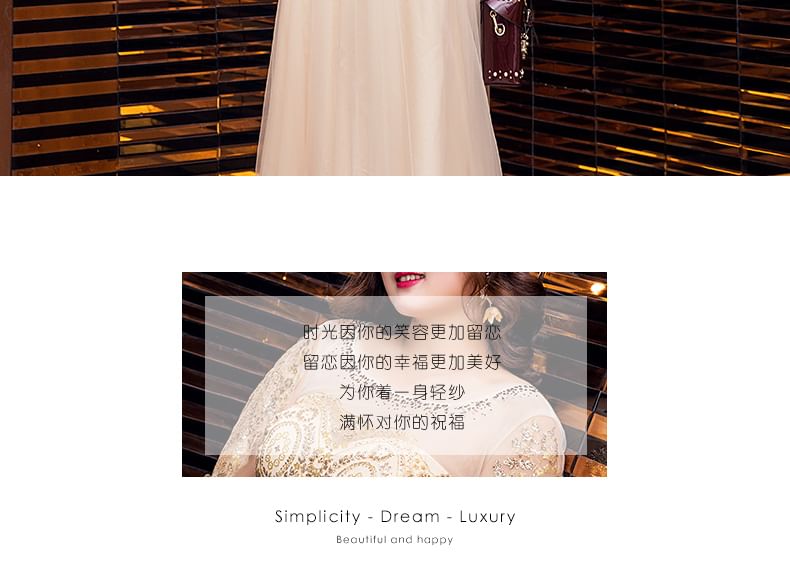 Gown Plus Evening Size Mesh Cap Sequined Sleeve Detail A-Line