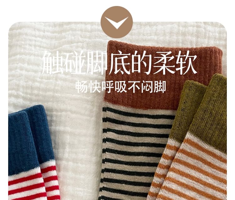 Striped Sock / Set