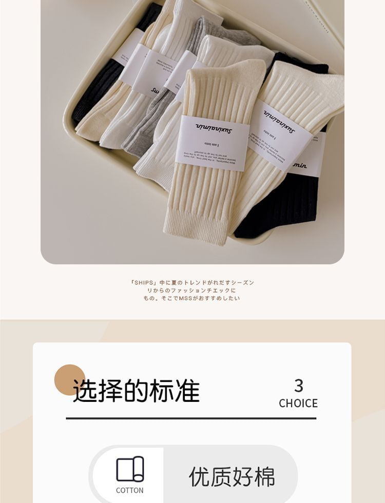 Plain Ribbed Socks / Set