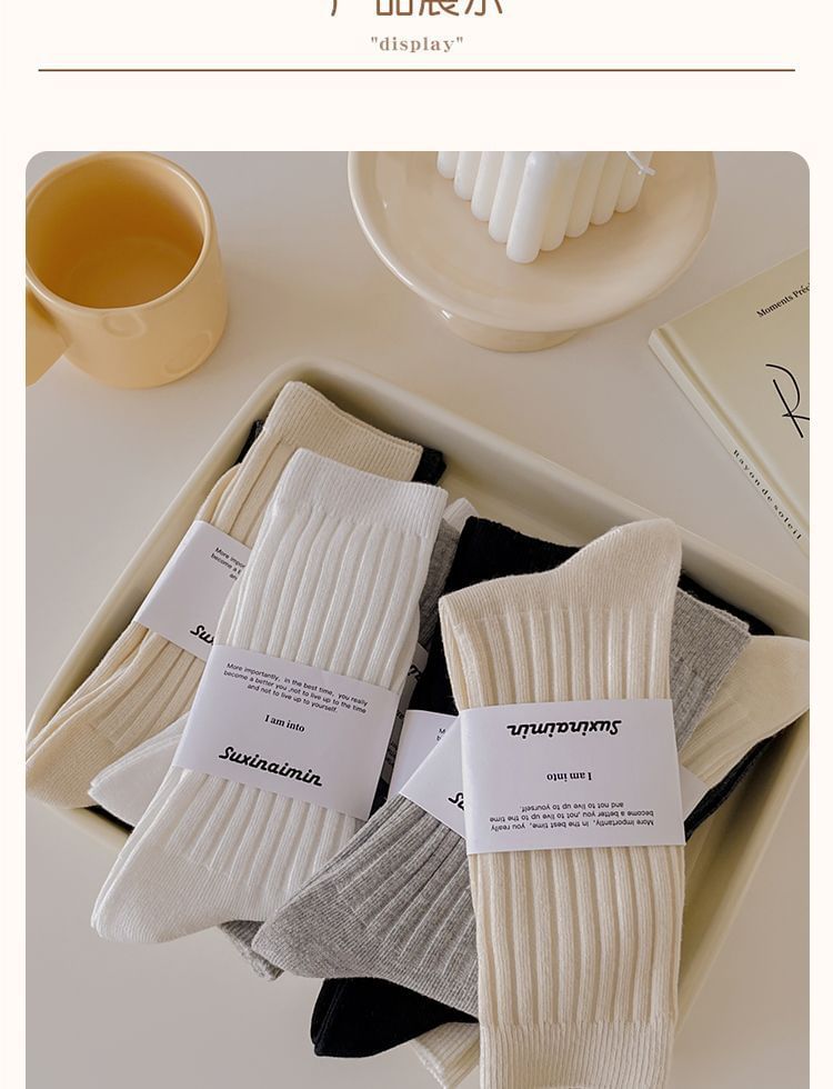 Plain Ribbed Socks / Set