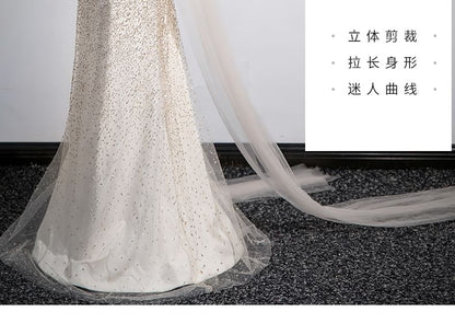 Sleeveless Mesh A-Line Evening Gown